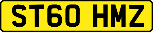 ST60HMZ