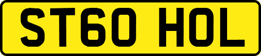 ST60HOL