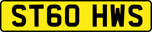 ST60HWS