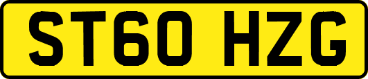 ST60HZG
