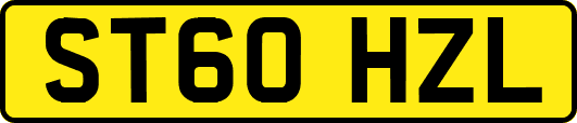ST60HZL