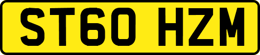 ST60HZM