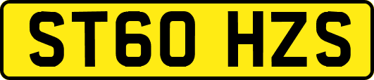 ST60HZS