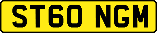 ST60NGM