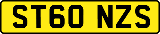 ST60NZS