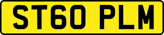 ST60PLM