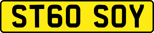 ST60SOY