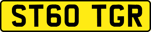 ST60TGR