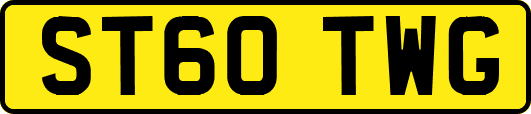 ST60TWG