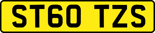 ST60TZS