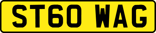 ST60WAG
