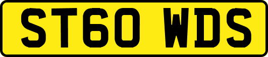 ST60WDS