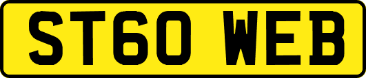 ST60WEB