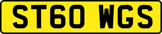 ST60WGS