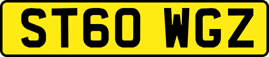 ST60WGZ