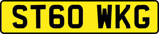ST60WKG
