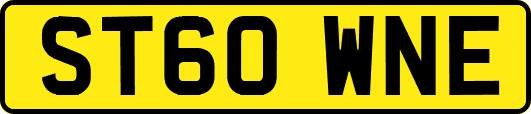 ST60WNE