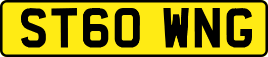 ST60WNG