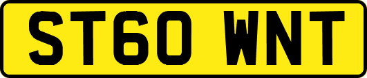 ST60WNT