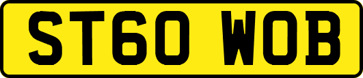 ST60WOB