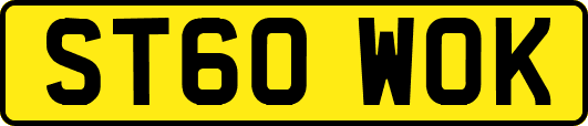 ST60WOK