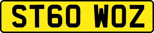 ST60WOZ