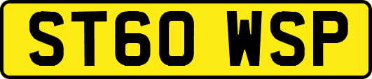 ST60WSP
