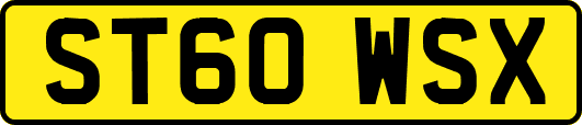 ST60WSX