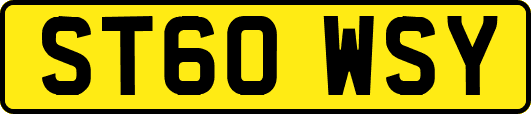 ST60WSY