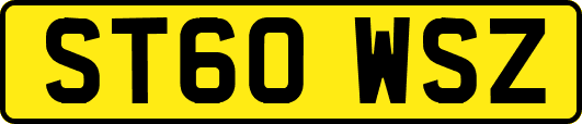 ST60WSZ