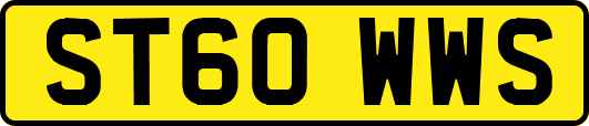 ST60WWS
