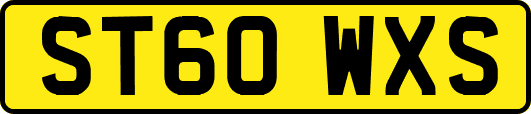 ST60WXS