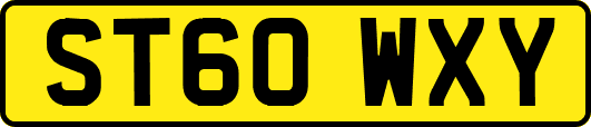 ST60WXY