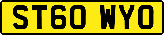 ST60WYO