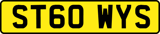 ST60WYS