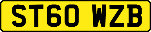 ST60WZB