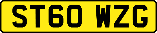 ST60WZG