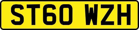 ST60WZH