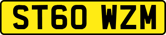 ST60WZM