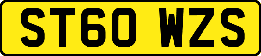 ST60WZS