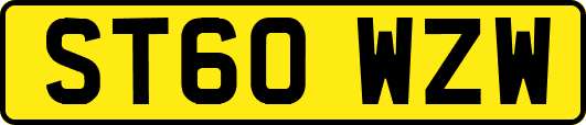 ST60WZW