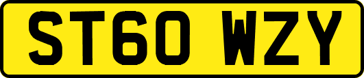 ST60WZY