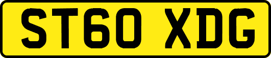 ST60XDG