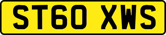 ST60XWS