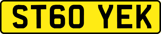 ST60YEK