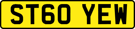 ST60YEW