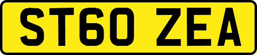 ST60ZEA