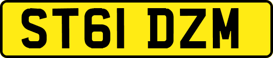 ST61DZM