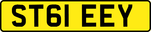 ST61EEY