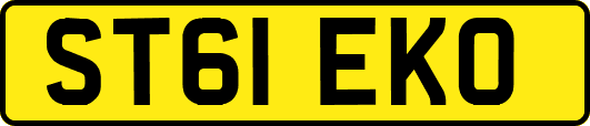 ST61EKO